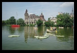 Budapesta -18-06-2011 - Bogdan Balaban
